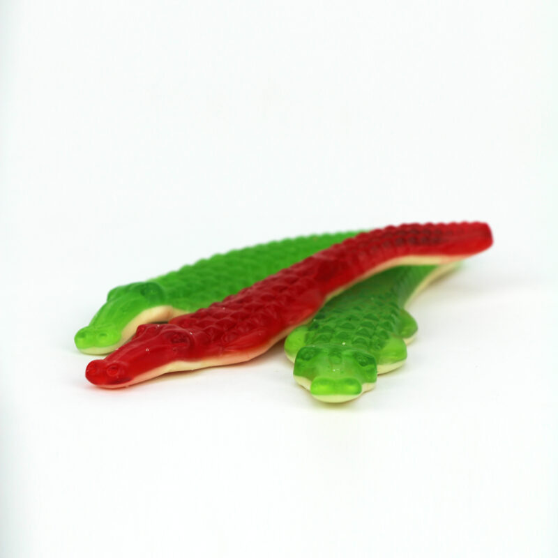 Crocodiles Géants